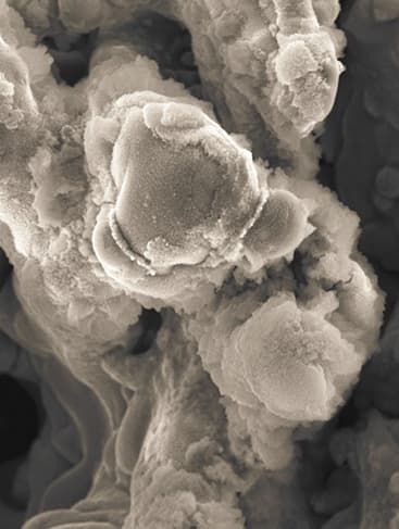 Сканирующая электронная спектроскопия