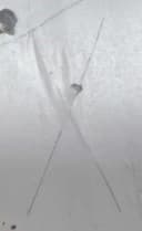 Картинка галереи 3