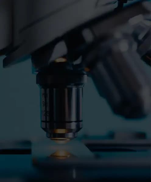 Экспертиза