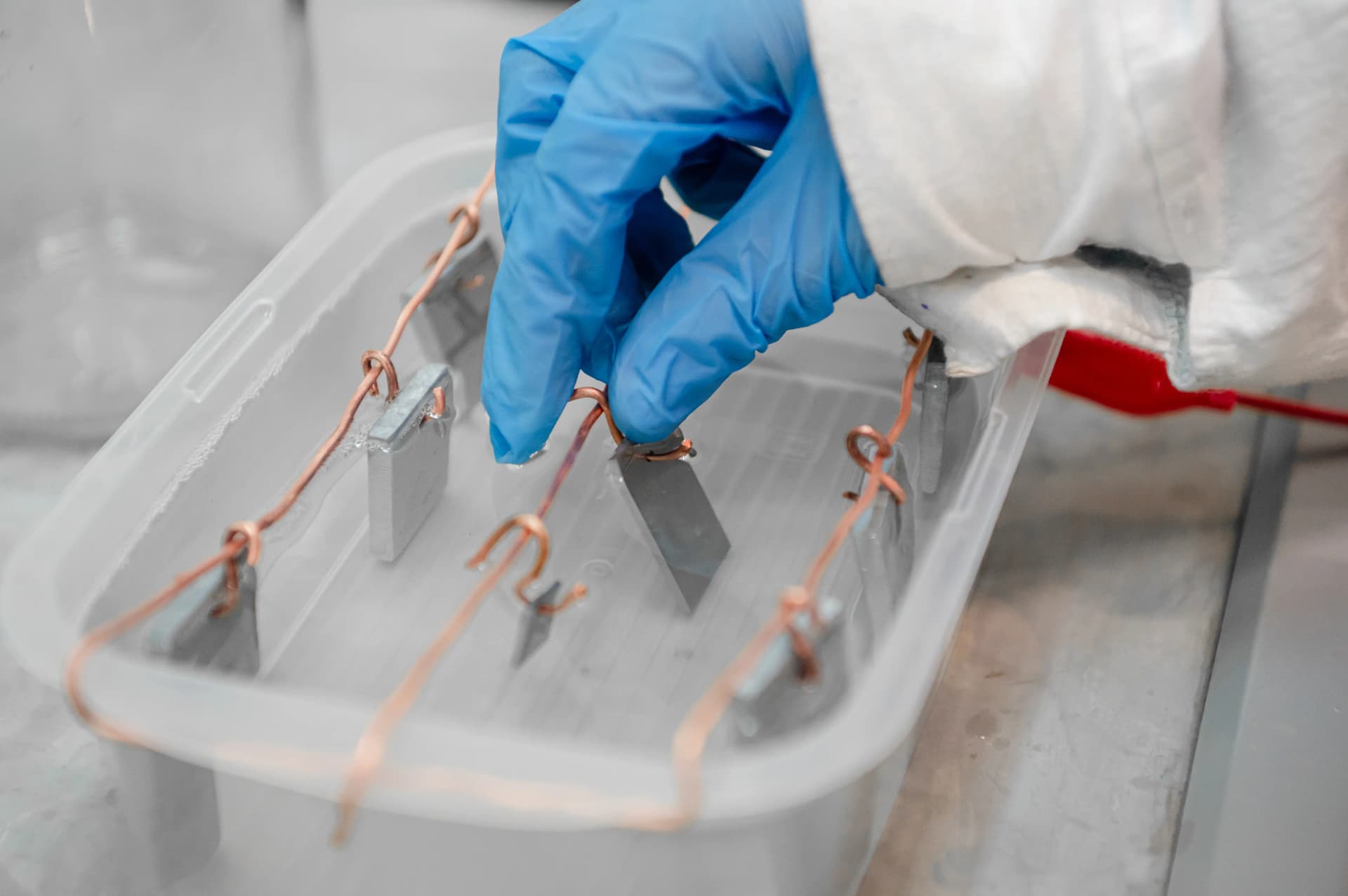 Заднее изображение экспертизы